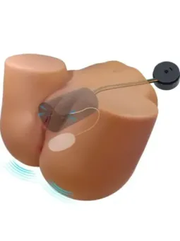 erosidea.com - Masturbatori Vagina