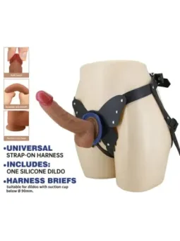 erosidea.com - HARNESS COLLECTION