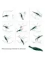 Armony - Stimolatore E Vibratore Verde Foglia - ARMONY STIMULATORS - Succhia Clitoride | erosidea.com