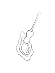Romp - Cello Vibratore Multifunzione A Uovo Turchese Con Telecomando - ROMP - Vibratori | erosidea.com