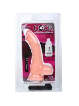 erosidea.com - BAILE VIBRATORS