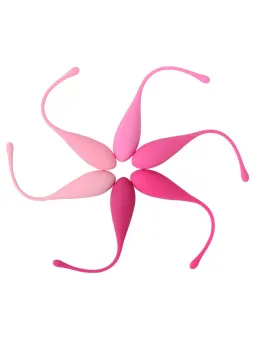 Leslie - Set Per Allenamento Muscoli Pelvici Kegel Fit 6 Pezzi