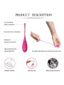 Leslie - Set Per Allenamento Muscoli Pelvici Kegel Fit 6 Pezzi - LESLIE - Ovetti Palline Sfere | erosidea.com
