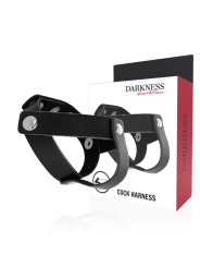Darkness - Anello In Pelle Per Pene E Testicoli - DARKNESS SENSATIONS - Anelli Fallici | erosidea.com