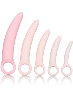erosidea.com - Plug e Catene Anali