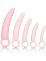 California Exotics - Set Di Dilatatore In Silicone Inspire 5 Pz - CALIFORNIA EXOTICS - Plug e Catene Anali | erosidea.com