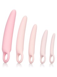California Exotics - Set Di Dilatatore In Silicone Inspire 5 Pz - CALIFORNIA EXOTICS - Plug e Catene Anali | erosidea.com