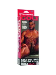 California Exotics - Il Pene Di Colt Adam Dexter - CALIFORNIA EXOTICS - Dildo Realistici | erosidea.com