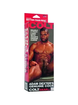 erosidea.com - Dildo Realistici