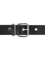 Harness Attraction - Rnes Taylor Deluxe 18 X 45 Cm - HARNESS ATTRACTION - Strap-on e Imbracature | erosidea.com