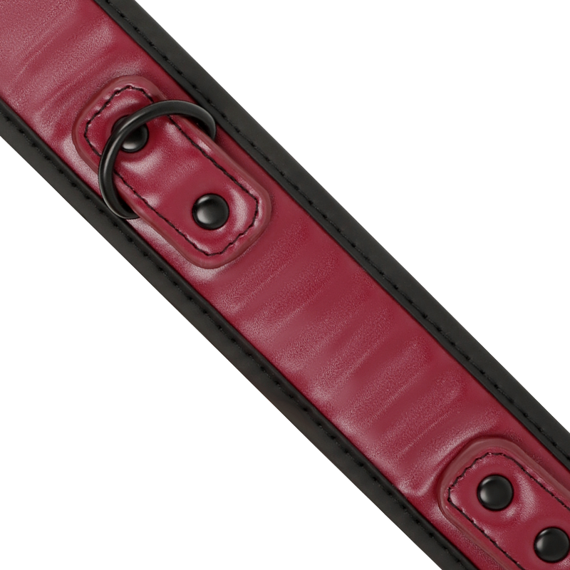 Fetish Submissive Dark Room - Collana A Catena Con Fodera In Neoprene - FETISH SUBMISSIVE DARK ROOM - Bondage | erosidea.com