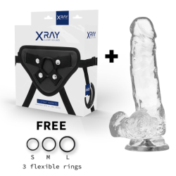 X RAY - IMBRACATURA + PENE TRASPARENTE CON SFERE 18.5 CM X 3.8 CM - X RAY - Imbracature e Strap on | erosidea.com