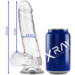 X RAY - IMBRACATURA + PENE TRASPARENTE CON SFERE 18.5 CM X 3.8 CM - X RAY - Imbracature e Strap on | erosidea.com