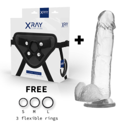 X RAY - IMBRAGATURA + PENE CON SFERE 22 CM -O- 4.6 CM - X RAY - Ovetti Palline Sfere | erosidea.com