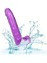 Calexotics - Dildo Regina Taglia Viola 20.3 Cm - CALIFORNIA EXOTICS - Dildo Realistici | erosidea.com