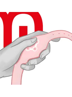 erosidea.com - Kit del piacere e Giochi Erotici