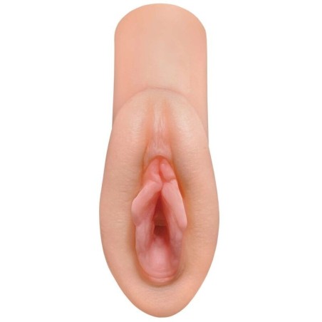 Pdx Plus - Masturbatore Stroker Da Sogno Perfect Pussy - PDX PLUS+ - Masturbatori | erosidea.com