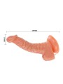 Super Rota Dong Rotator Del Pene Realistico - BAILE VIBRATORS - Dildo Realistici | erosidea.com