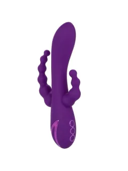 Calexotics - Long Beach Bootylicious Viola