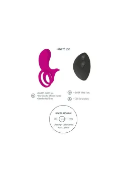 erosidea.com - XOCOON