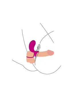 erosidea.com - XOCOON