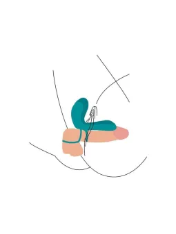 erosidea.com - XOCOON