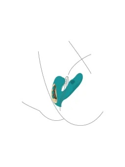 erosidea.com - XOCOON