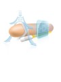 Estensore Del Pene Andropenis Mini - ANDRO MEDICAL - Guaine e Prolunghe | erosidea.com