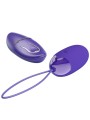 Berger Youth Violing Ovetto Telecomando Violetto - PRETTY LOVE YOUTH - Ovetti Palline Sfere | erosidea.com