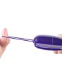 Telecomando Selkie Youth Mini Uovo Vibrante Violetto - PRETTY LOVE YOUTH - Vibratori Mini | erosidea.com