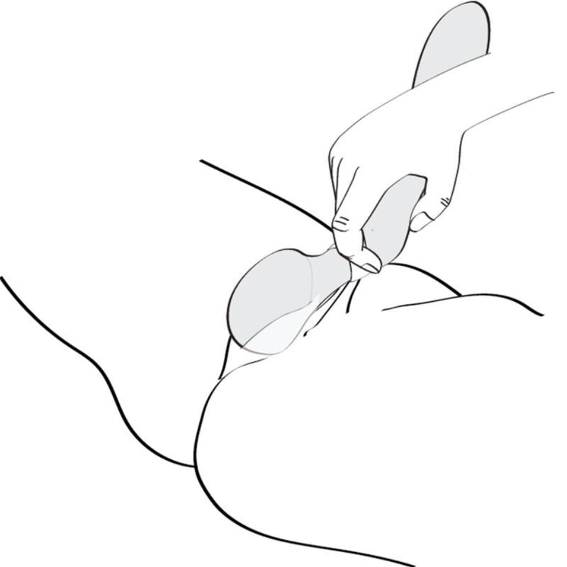 Massaggiatore Intimo Zoa Rosa - SHUNGA TOYS - Stimolatori | erosidea.com