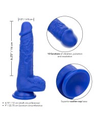 Calexotics - Admiral Vibratore Dildo Realistico Sailor Blu - CALEXOTICS - Dildo Realistici | erosidea.com