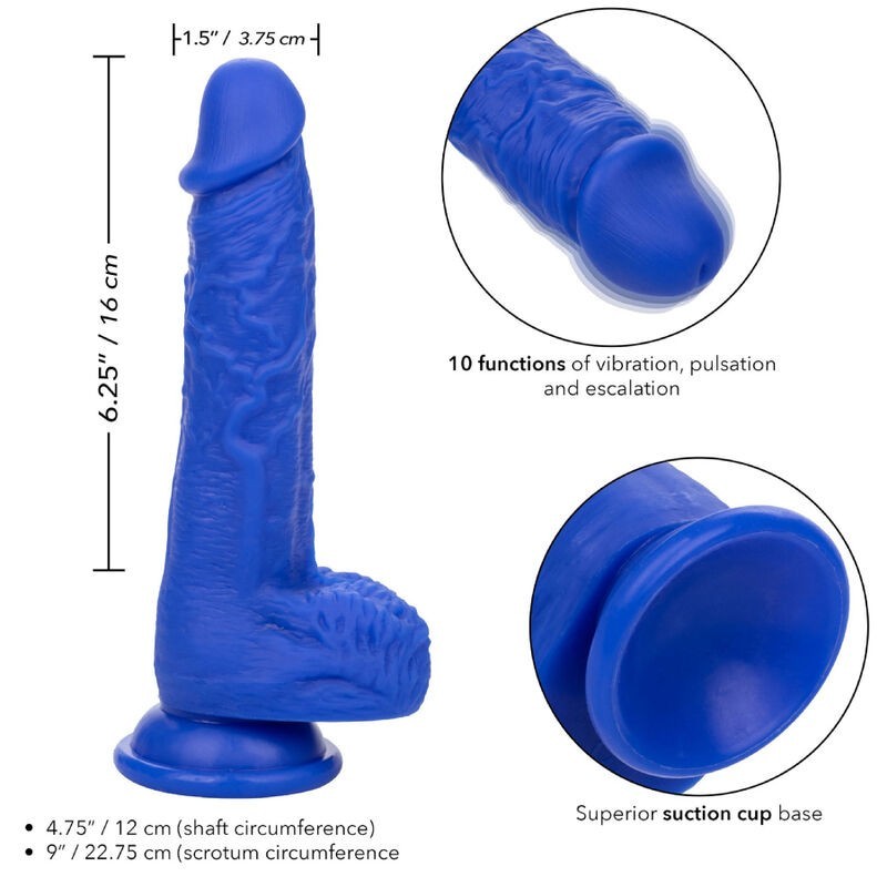 Calexotics - Admiral Vibratore Dildo Realistico Sailor Blu - CALEXOTICS - Dildo Realistici | erosidea.com