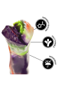 Masturbatore Epic Maschile Bronte Ciclope - EPIC - Masturbatori Orali | erosidea.com