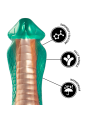 Epic - Dildo Pitone Cobra Verde - EPIC - Dildo Realistici | erosidea.com