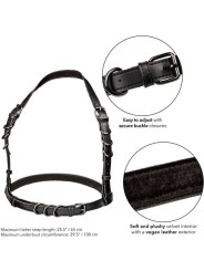 Calexotics - Euphoria Imbracatura Con Fibbia Halter Nera - CALEXOTICS - Bondage | erosidea.com