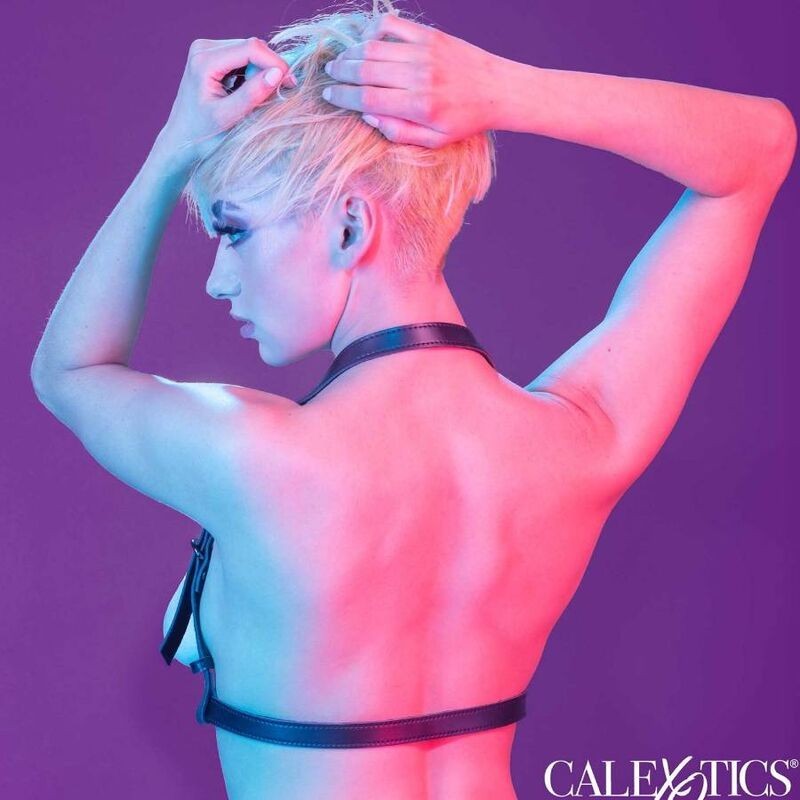 Calexotics - Euphoria Imbracatura Con Fibbia Halter Nera - CALEXOTICS - Bondage | erosidea.com