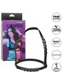 Calexotics - Euphoria Imbracatura Con Fibbia Plus Taglia Nera - CALEXOTICS - Bondage | erosidea.com