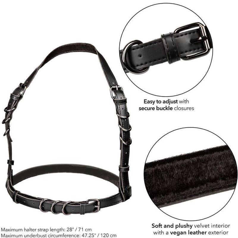 Calexotics - Euphoria Imbracatura Con Fibbia Plus Taglia Nera - CALEXOTICS - Bondage | erosidea.com