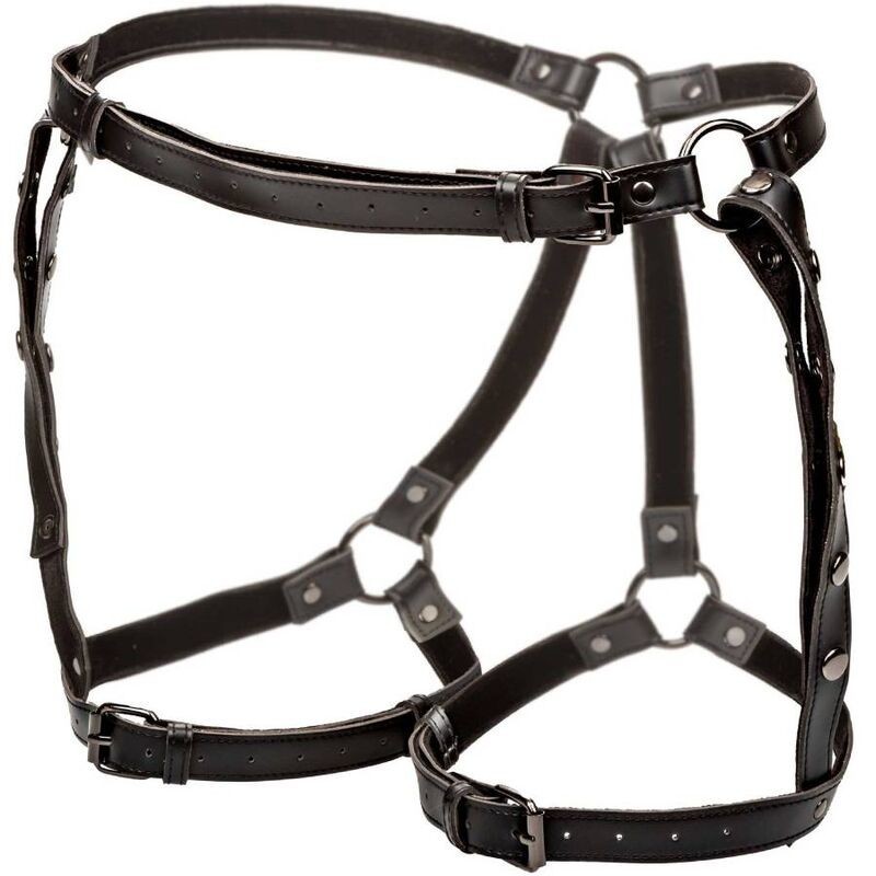 Calexotics - Euphoria Pettorina Da Equitazione Plus Taglia - CALEXOTICS - Bondage | erosidea.com