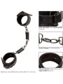 Calexotics - Euphoria Polsini Alla Caviglia - CALEXOTICS - Manette e Polsini | erosidea.com