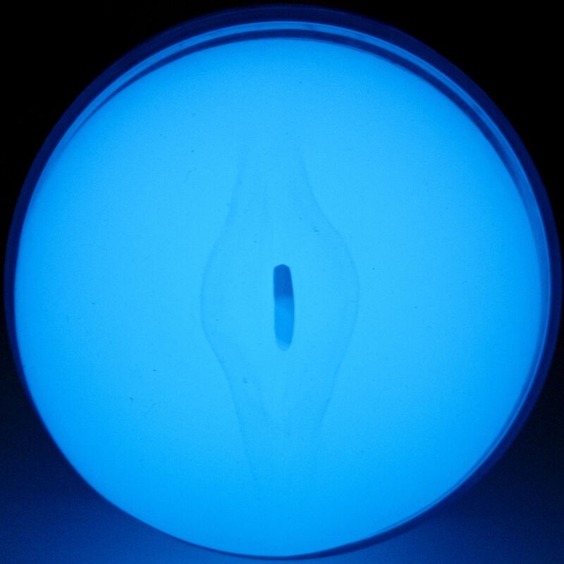 Sentire Il Bagliore Nel Buio Stroker - Kiiroo - Masturbatori Vagina | erosidea.com