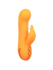 Vibratore Calexotics Montecito Muse Rabbit Orange By California Dreaming - CALEXOTICS - Vibratori Rabbit | erosidea.com
