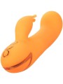 Vibratore Calexotics Montecito Muse Rabbit Orange By California Dreaming - CALEXOTICS - Vibratori Rabbit | erosidea.com