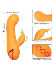 Vibratore Calexotics Montecito Muse Rabbit Orange By California Dreaming - CALEXOTICS - Vibratori Rabbit | erosidea.com