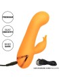 Vibratore Calexotics Montecito Muse Rabbit Orange By California Dreaming - CALEXOTICS - Vibratori Rabbit | erosidea.com