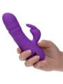 Vibratore Calexotics Manhattan Beach Marvel Rabbit Viola Di California Dreaming - CALEXOTICS - Vibratori Rabbit | erosidea.com