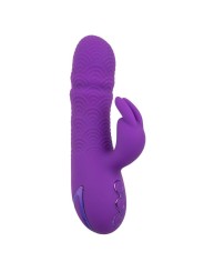 Vibratore Calexotics Manhattan Beach Marvel Rabbit Viola Di California Dreaming - CALEXOTICS - Vibratori Rabbit | erosidea.com