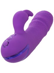 Vibratore Calexotics Manhattan Beach Marvel Rabbit Viola Di California Dreaming - CALEXOTICS - Vibratori Rabbit | erosidea.com
