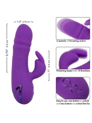 Vibratore Calexotics Manhattan Beach Marvel Rabbit Viola Di California Dreaming - CALEXOTICS - Vibratori Rabbit | erosidea.com